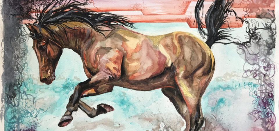 Original horse watercolour Aztec Bay