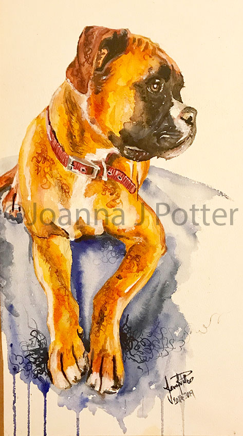 Boxer Dog watercolour