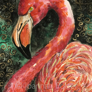 Flamingo 5