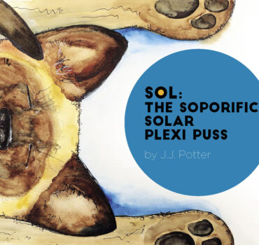 Sol the Soporific Solar Plexi Puss Cover