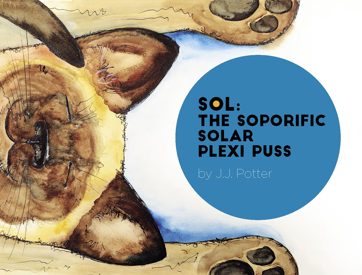 Sol the Soporific Solar Plexi Puss Cover